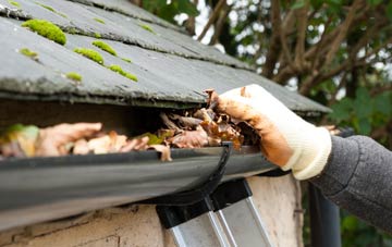 gutter cleaning Wayne Green, Monmouthshire